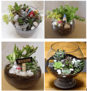 Natural Plants as Corporate Gifts