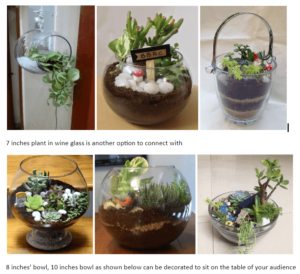 Ceramic Glass Pots With Natural Plants