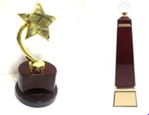 Trophy with Golden Star
