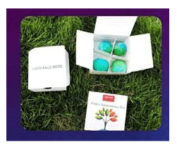 Plantable Seed Bombs Kits