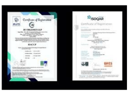 EVOCUS Certificate